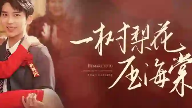 一树梨花压海棠（新：我在八零年代当后妈）